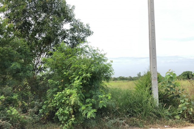 ขายที่ดินเปล่าถมแล้ว  ต.ราษฎร์นิยม อ.ไทรน้อย จ.นนทบุรี