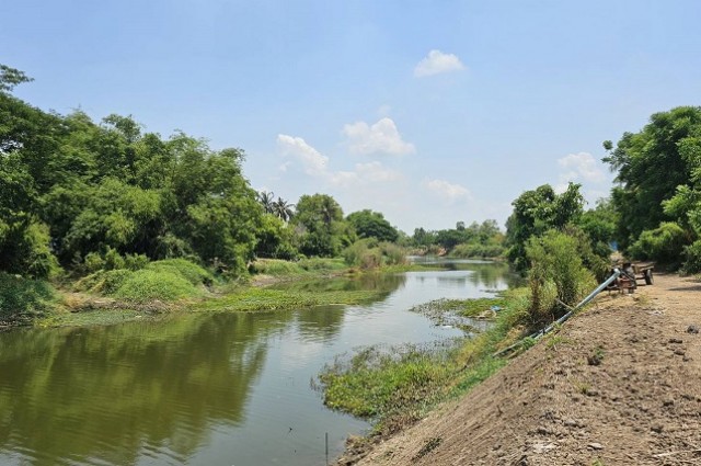 ขายที่ดินติดถนน ทำเลดี อำเภอเดิมบางนางบวช สุพรรณบุรี