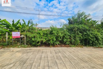 ขาย ที่ดิน ทำเลดี-เข้าออกหลายเส้นทาง ถ.สรงประภา ใกล้สนามบินดอนเมือง 1 งาน 56 ตรว