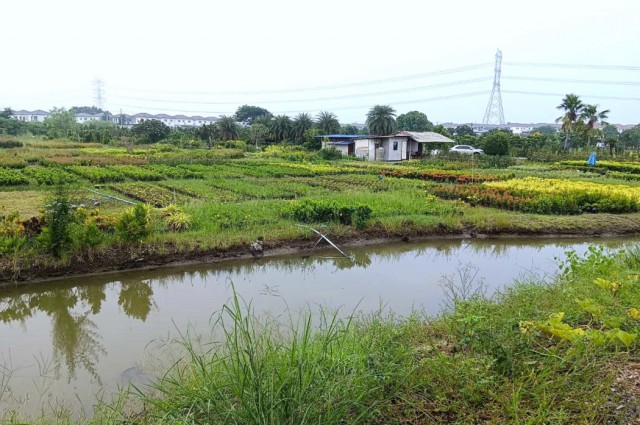 ขายที่ดินแปลงสวย ติดถนนบางม่วง - บางคูลัด เนื้อที่ 13-3-4 ไร่  อำเภอบางกรวย จังหวัดนนทบุรี เหมาะทำโครงการจัดสรร