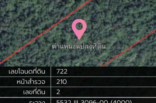 ขาย ที่ดิน (โฉนดครุฑแดง) 138 ไร่ 1 งาน 8 ตร.วา (บนเกาะไม้ซี้)