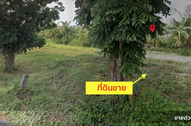 ขาย ที่ดิน ขายที่ดิน ซ.กำนันสมจิตร ตั้งอยู่ จ.นนทบุรี เนื้อที่ 2-0-80.8 ไร่