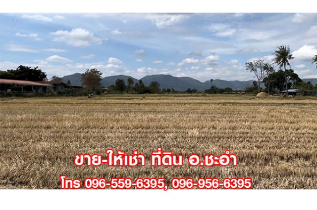 ขาย ให้เช่าที่ดินสวย ที่ดินเปล่า 3 ไร่ ชะอำ เพชรบุรี ใกล้หัวหิน