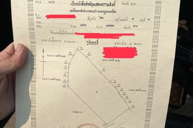ด่วน ขายที่ดินแม่สอด-ห้วยกระโหลก จำนวน 42 ไร่ (ที่ดินมีโฉนด นส. 4 ครุฑแดงแปลงเดียวในย่านนี้)