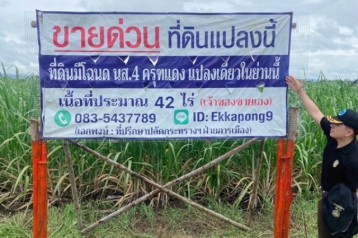 ด่วน ขายที่ดินแม่สอด-ห้วยกระโหลก จำนวน 42 ไร่ (ที่ดินมีโฉนด นส. 4 ครุฑแดงแปลงเดียวในย่านนี้)