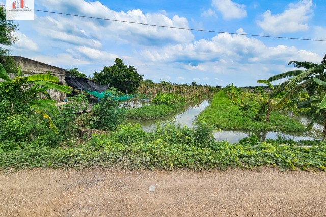 ขาย ที่ดิน ร่องสวน ราคาถูก-ใกล้ราคาประเมิณ ปทุมธานี อ.หนองเสือ ติดสระบุรี 44 ไร่