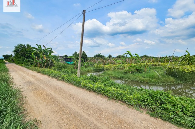 ขาย ที่ดิน ร่องสวน ราคาถูก-ใกล้ราคาประเมิณ ปทุมธานี อ.หนองเสือ ติดสระบุรี 44 ไร่