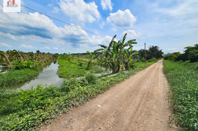 ขาย ที่ดิน ร่องสวน ราคาถูก-ใกล้ราคาประเมิณ ปทุมธานี อ.หนองเสือ ติดสระบุรี 44 ไร่