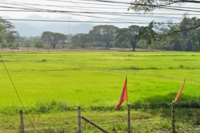 ขาย ที่ดิน ที่ดิน 51ไร่ หน้าที่ดิน ติดถนนซุปเปอร์ไฮเวย์ 170เมตร 51 ไร่ สวย วิวดี ใกล้แหล่งน้ำชลประทาน