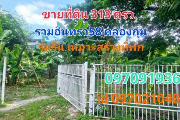 ขาย ที่ดิน รามอินทรา58 313 ตร.วา บรรยากาศร่มรื่น ส่วนตัว คลองกุ่ม กทม.