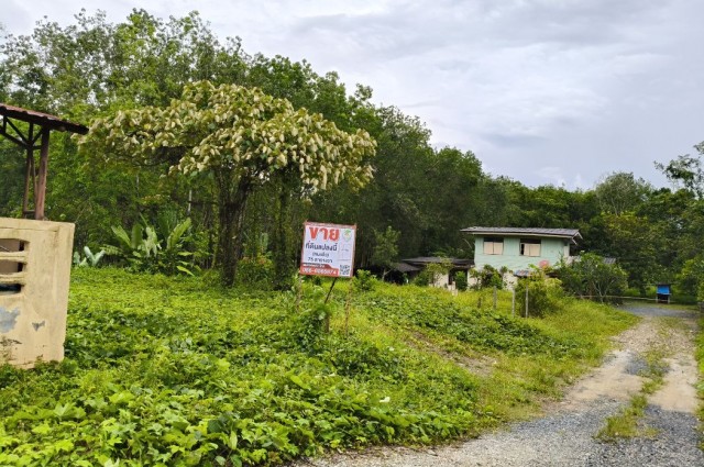 ขาย ที่ดิน ใกล้ ม.ราชภัฏนครศรีธรรมราชที่ดิน 75 ตร.วา พื้นที่เขตชุมชน เหมาะสร้างที่อยู่อาศัย หรือทำห่อพัก