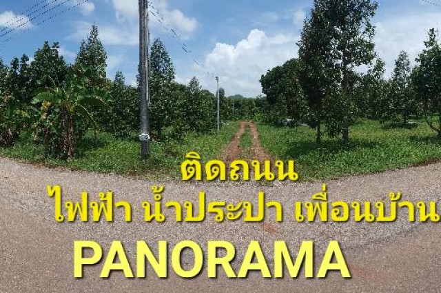 ด่วนขายถูก สวนผสมทุเรียน 8 ไร่ 54 ตร วา @ 790,000 บาท ติดถนนลาดยาง ไฟฟ้า ประปา ระบบน้ำพร้อม ตอบโจทย์ทุกความต้องการ