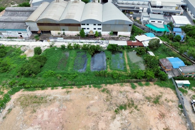 ขาย ที่ดิน บางปลา บางพลี 800 ตรว ใกล้ถ.เทพารักษ์แค่ 700 ม. CC