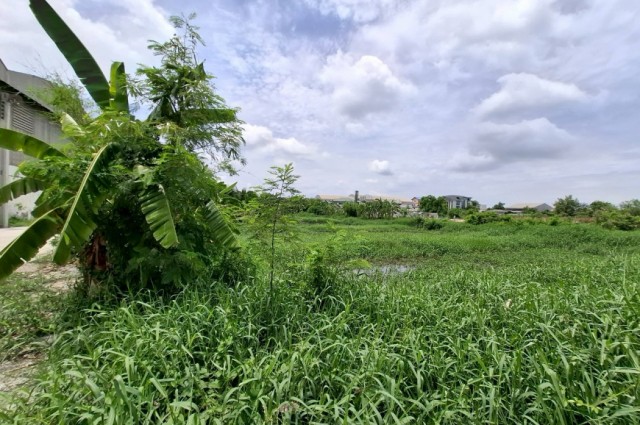 ขาย ที่ดิน บางปลา บางพลี 800 ตรว ใกล้ถ.เทพารักษ์แค่ 700 ม. CC