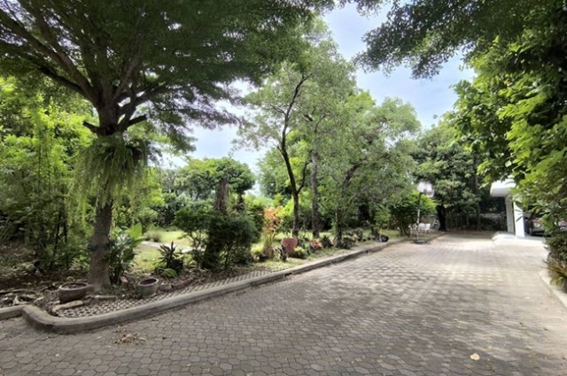 ขายด่วนบ้านพร้อมที่ดินผืนใหญ่ใจกลางเมืองปากน้ำ ใกล้ BTS เพียง 290 เมตร