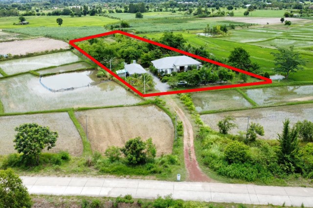 ขายบ้านสวนพร้อมที่ดินขนาดใหญ่ จ.อุดรธานี (H1SS-421)