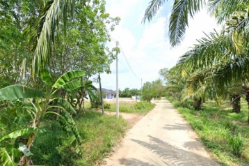ขาย ที่ดิน ME374 เขตเทศบาล บ่อทอง ชลบุรี บรรยากาศบ้านสวน ติดถนนสาธารณะ ทำเลดี ราคาถูก ขนาด 2 ไร่ 2 งาน 64.2 ตรว ใกล้ตลาดสด เพียง 2 Km