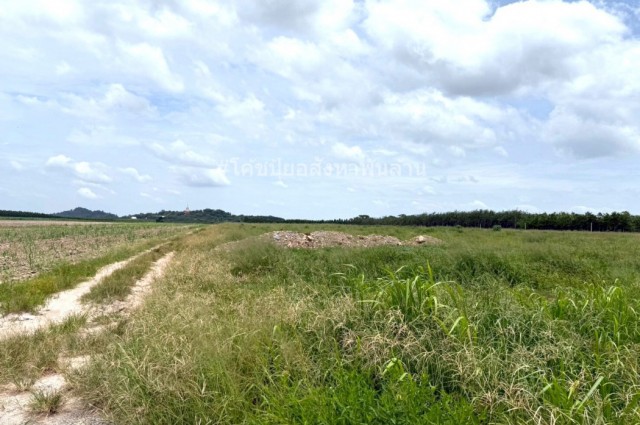 ขาย ที่ดิน ME376 ทำเลดี ราคาถูกสุดในย่านนี้ หนองอิรุณ บ้านบึง ชลบุรี . 50 ไร่ ใกล้เขตอุตสาหกรรมอาหารสยาม นิคมอมตะชลบุรี2 ถนน 331 เพียง 3 Km.