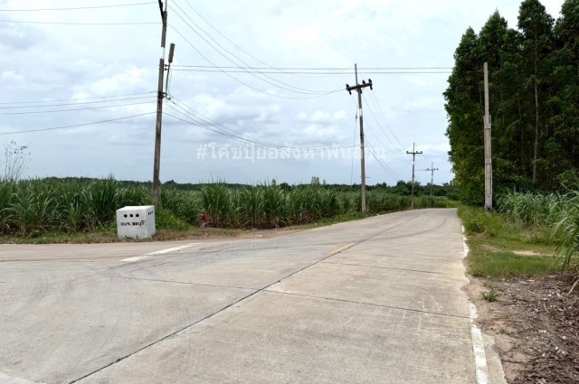 ขาย ที่ดิน ME376 ทำเลดี ราคาถูกสุดในย่านนี้ หนองอิรุณ บ้านบึง ชลบุรี . 50 ไร่ ใกล้เขตอุตสาหกรรมอาหารสยาม นิคมอมตะชลบุรี2 ถนน 331 เพียง 3 Km.