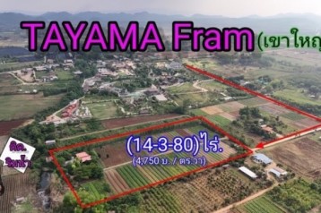 #ขายที่ดินเขาใหญ่ | หลังTayama Farm Khaoyai (วิวลำธาร+เขา) 14-3-80 ไร่.(ไร่ล่ะ 1.9ลบ.) ต.คลองม่วง อ.ปากช่อง จ.นครราชสีมา. ที่ดินสวย ด้านหลังติดลำธาร ธรรมชาติ ร่มเย็นที่สุด.